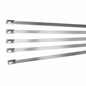 ALCO 201 x 4.6mm Cable Tie - 100 Piece TIE201-CSS304